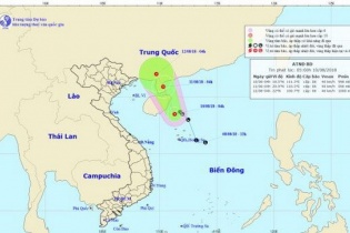 Dự báo thời tiết hôm nay 10/8: Áp thấp nhiệt đới hình thành, cả nước có mưa dông