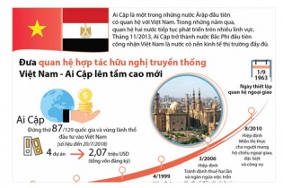 [Infographic] Đưa quan hệ hợp tác hữu nghị truyền thống Việt Nam - Ai Cập lên tầm cao mới