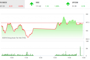 Phiên 24/8: VN-Index chấm dứt chuỗi tăng điểm sau 6 phiên liên tiếp