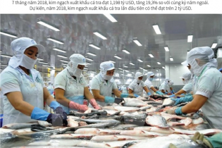 [Infographic] Kim ngạch xuất khẩu cá tra có thể đạt trên 2 tỷ USD năm 2018