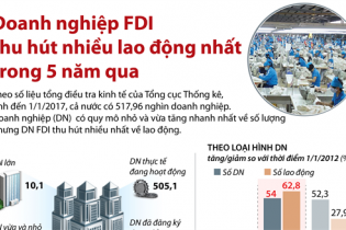 [Infographic] Doanh nghiệp FDI thu hút nhiều lao động nhất trong 5 năm qua