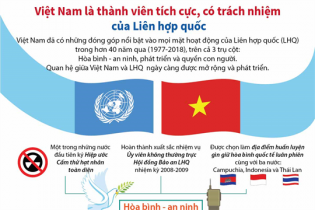 [Infographic] Việt Nam là thành viên tích cực, có trách nhiệm của Liên hợp quốc