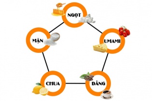 Hiểu thêm về vị thứ 5 trong ẩm thực nhân loại – vị Umami