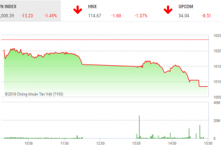 Phiên 5/10: Hàng trăm mã giảm sâu, VN-Index lùi xuống dưới ngưỡng 1.010 điểm