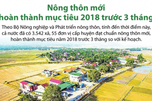 [Infographic] Nông thôn mới hoàn thành mục tiêu 2018