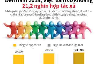 [Infographic] Đến năm 2018, Việt Nam có khoảng 21,2 nghìn hợp tác xã