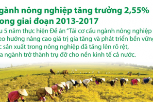 [Infographic] Ngành nông nghiệp tăng trưởng 2,55% trong giai đoạn 2013-2017