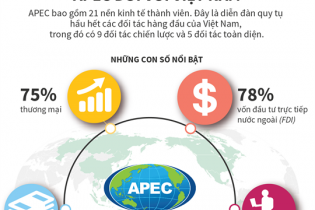 [Infographic] Vai trò của các nền kinh tế APEC đối với Việt Nam