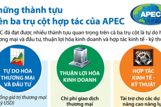 [Infographic] Những thành tựu trên ba trụ cột hợp tác của APEC