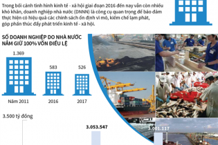 [Infographic] Doanh nghiệp nhà nước có nhiều đóng góp cho phát triển kinh tế - xã hội