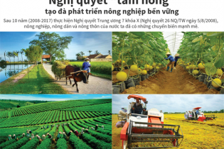 [Infographic] Nghị quyết "tam nông" tạo đà phát triển nông nghiệp bền vững