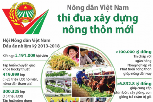 [Infographic] Nông dân Việt Nam thi đua xây dựng nông thôn mới