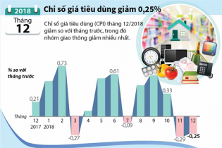 [Infographic] Chỉ số giá tiêu dùng tháng 12 giảm 0,25% 