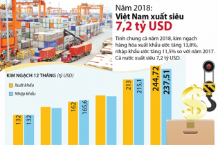 Năm 2018, Việt Nam xuất siêu 7,2 tỷ USD