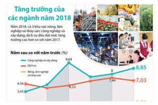 [Infographic] Tăng trưởng của các ngành năm 2018