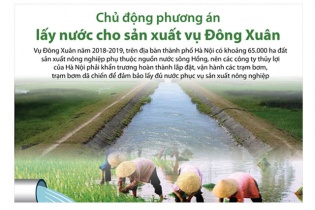 [Infographic] Chủ động phương án lấy nước cho sản xuất vụ Đông Xuân