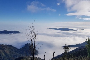 Dự báo thời tiết hôm nay 15/1: Không khí lạnh về gây mưa rét trên diện rộng