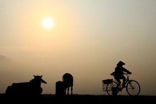 Ngày Tết nhớ... quê!