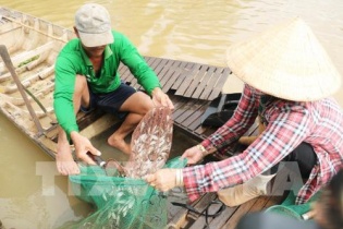 Gần như toàn bộ vùng đồng bằng sông Cửu Long có nguy cơ chìm hoàn toàn trong tương lai