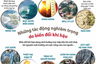 [Infographic] Những tác động nghiêm trọng do biến đổi khí hậu
