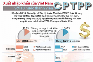 [Infographic] Xuất nhập khẩu của Việt Nam với 10 nước thành viên CPTPP