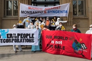 Monsanto bị cáo buộc chi phối giới khoa học và cơ quan quản lý