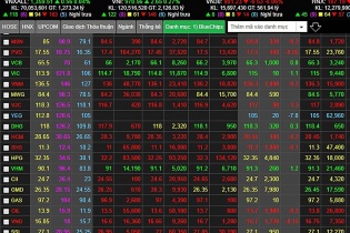 Mua cổ phiếu quỹ không cứu nổi cuộc khủng hoảng giá của YEG