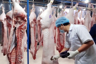 MM Mega Market Việt Nam tăng cường kiểm soát chất lượng thịt heo