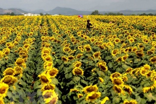 Dự báo thời tiết hôm nay 11/4: Nắng nóng bao trùm Trung Bộ, chiều tối Hà Nội có mưa dông