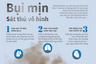 [Infographic] Bụi mịn - Sát thủ vô hình