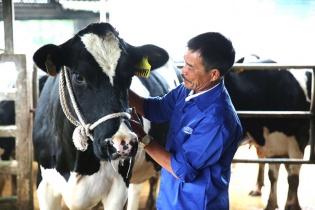 Mộc Châu Milk và bí quyết thành công sau 61 năm hoạt động