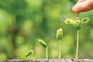 Luận bàn các yếu tố tác động đến con người: Phong thủy, Âm phúc và Tri thức