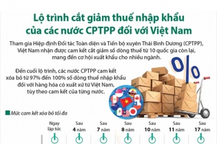 [Infographic] Lộ trình cắt giảm thuế nhập khẩu của các nước CPTPP đối với Việt Nam