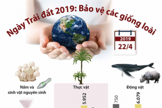 [Infographic] Ngày Trái đất 2019: Bảo vệ các giống loài