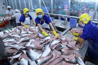 Doanh nghiệp thủy sản Việt Nam "sụp đổ hy vọng" với POR 14