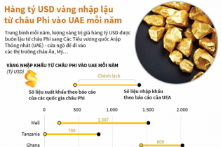 [Infographic] Hàng tỷ USD vàng nhập lậu từ châu Phi vào UAE mỗi năm