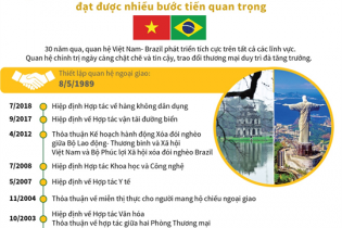 [Infographic] Quan hệ Đối tác toàn diện Việt Nam - Brazil
