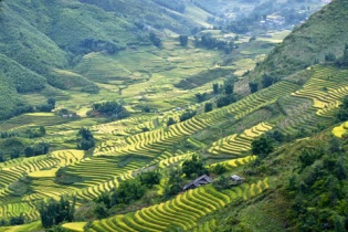 Dự báo thời tiết hôm nay 10/5: Bắc Bộ dịu mát, Trung Bộ vẫn có mưa to