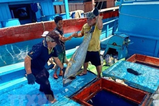 Chiến lược biển Việt Nam: Năm 2020, giá trị xuất khẩu sản phẩm nuôi biển đạt khoảng 1,5 tỷ USD