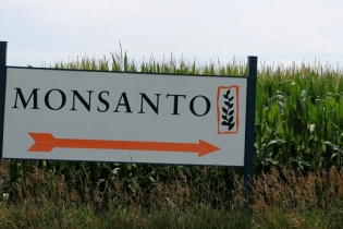 Monsanto dính bê bối truyền thông về quan điểm với thuốc trừ sâu và cây trồng biến đổi gene