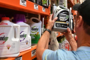 Monsanto phải bồi thường hơn 2 tỷ USD cho cặp vợ chồng mắc ung thư do dùng thuốc diệt cỏ