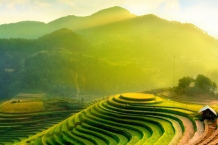 Chính phủ ban hành Chỉ thị về phát triển bền vững