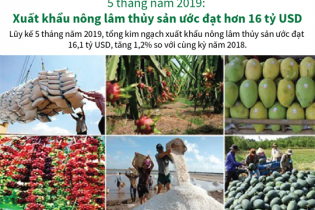 [Infographic] 5 tháng năm 2019, xuất khẩu nông lâm thủy sản ước đạt hơn 16 tỷ USD