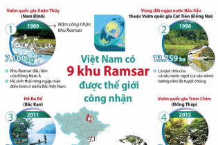 [Infographic] Việt Nam có 9 khu Ramsar (đất ngập nước) được thế giới công nhận