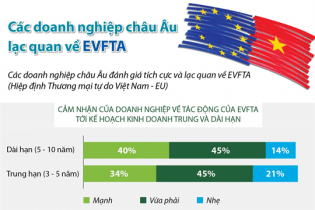 [Infographic] Doanh nghiệp châu Âu lạc quan về EVFTA 
