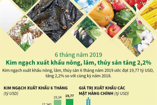 [Infographic] 6 tháng, kim ngạch xuất khẩu nông, lâm, thủy sản tăng 2,2%