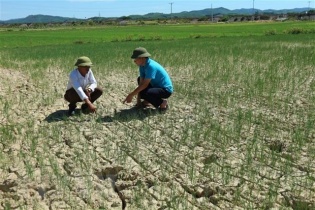 Dự báo thời tiết hôm nay 6/7: Bắc Bộ và Trung Bộ nắng nóng diện rộng, có nơi trên 38 dộ C