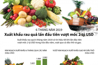 [Infographic] 6 tháng năm 2019: Xuất khẩu rau quả lần đầu tiên vượt mốc 2 tỷ USD