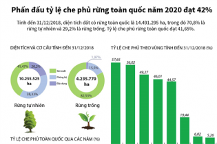 [Infographic] Phấn đấu tỷ lệ che phủ rừng toàn quốc năm 2020 đạt 42%