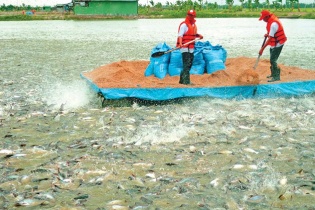 Cắt giảm kiểm tra chuyên ngành: Doanh nghiệp bất an khi nhận toàn lời hứa "sẽ xem xét"